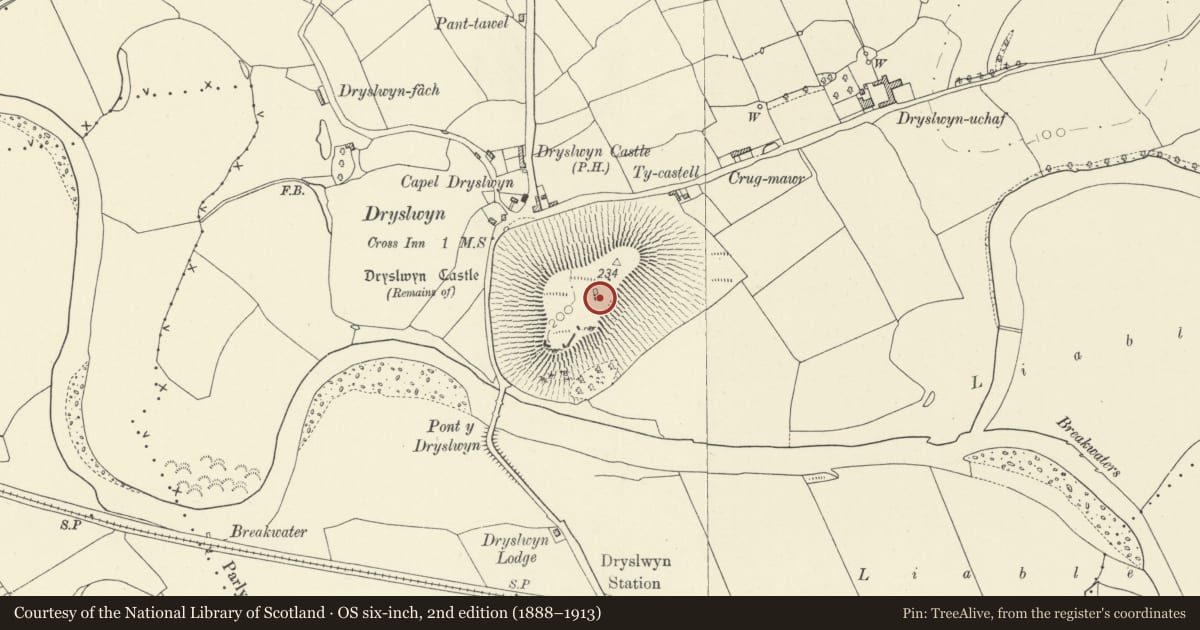 Ordnance Survey six-inch map, 2nd edition (1888–1913) covering the location of Castell Dryslwyn, Llangathen, Carmarthenshire, with a pin at the register's coordinates