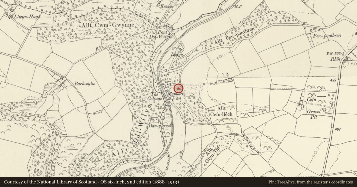 Ordnance Survey six-inch map, 2nd edition (1888–1913) covering the location of Dol-Wilym Burial Chamber, Llanboidy, Carmarthenshire, with a pin at the register's coordinates