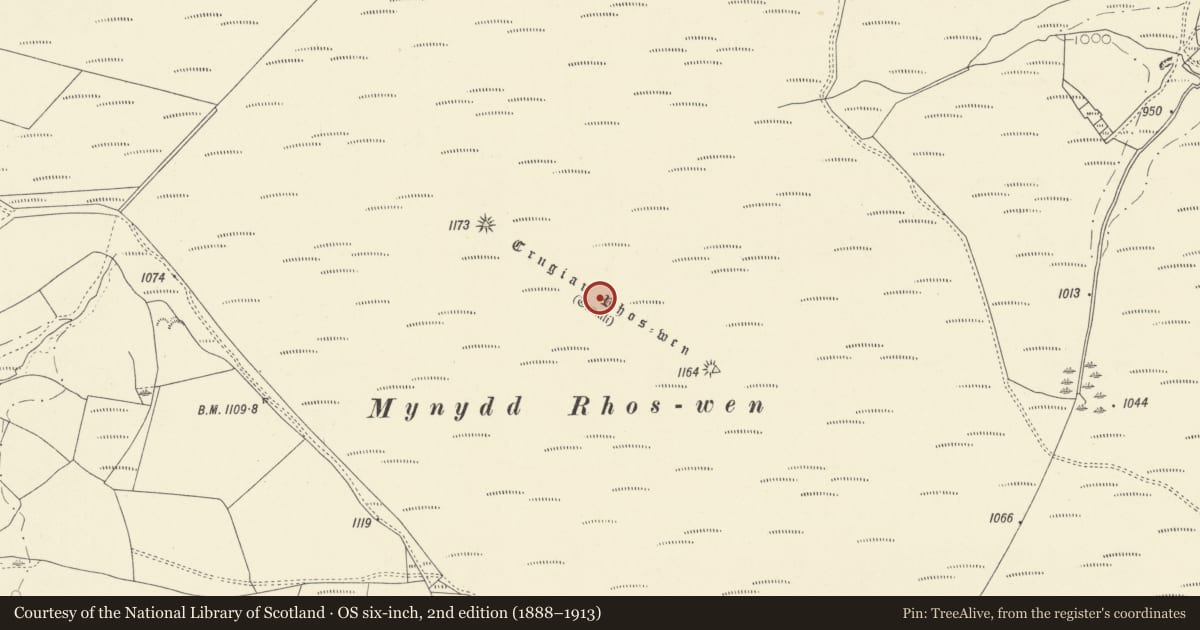 Ordnance Survey six-inch map, 2nd edition (1888–1913) covering the location of Crugiau Rhos-Wen, Llanfihangel-ar-Arth, Carmarthenshire, with a pin at the register's coordinates