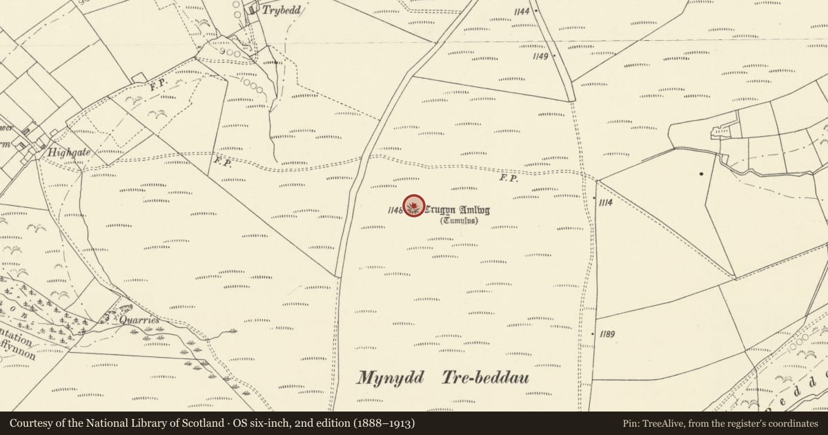 Ordnance Survey six-inch map, 2nd edition (1888–1913) covering the location of Crugyn Amlwg, Mynydd Trebeddau, Llanfihangel-ar-Arth, Carmarthenshire, with a pin at the register's coordinates