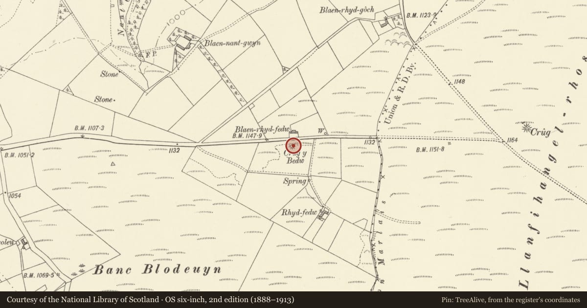 Ordnance Survey six-inch map, 2nd edition (1888–1913) covering the location of Crug y Bedw, S of Blaen-Rhyd-Fedw, Llanfihangel-ar-Arth, Carmarthenshire, with a pin at the register's coordinates