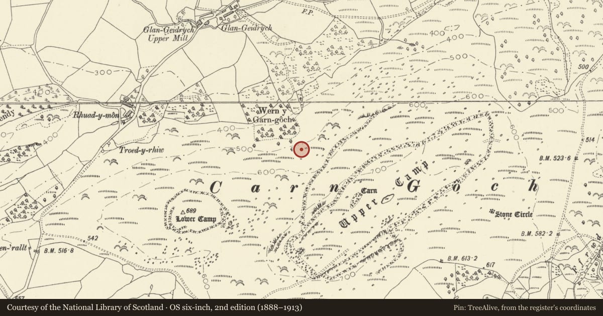 Ordnance Survey six-inch map, 2nd edition (1888–1913) covering the location of Garn Goch Camps, Llangadog, Carmarthenshire, with a pin at the register's coordinates