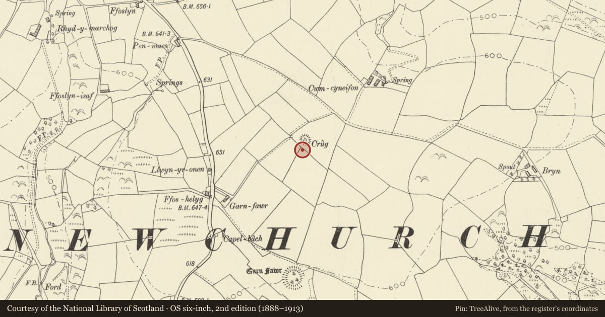 Ordnance Survey six-inch map, 2nd edition (1888–1913) covering the location of Garn-Fawr Tumuli & Enclosure, Newchurch and Merthyr, Carmarthenshire, with a pin at the register's coordinates