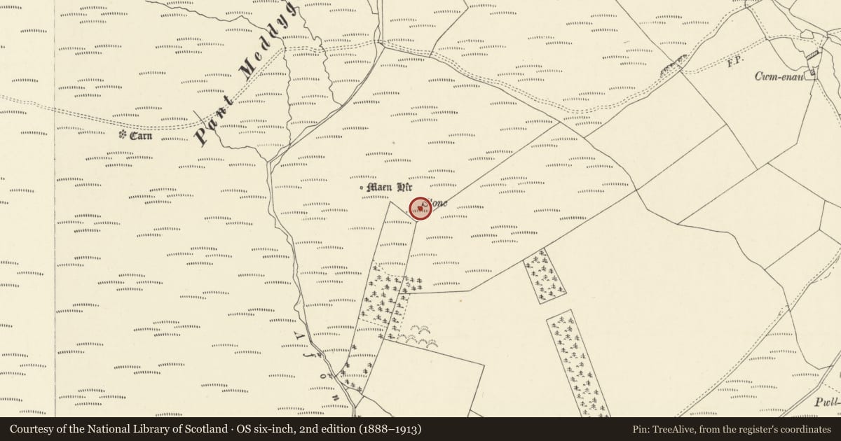 Ordnance Survey six-inch map, 2nd edition (1888–1913) covering the location of Mynydd Myddfai Standing Stones, Carmarthenshire, with a pin at the register's coordinates