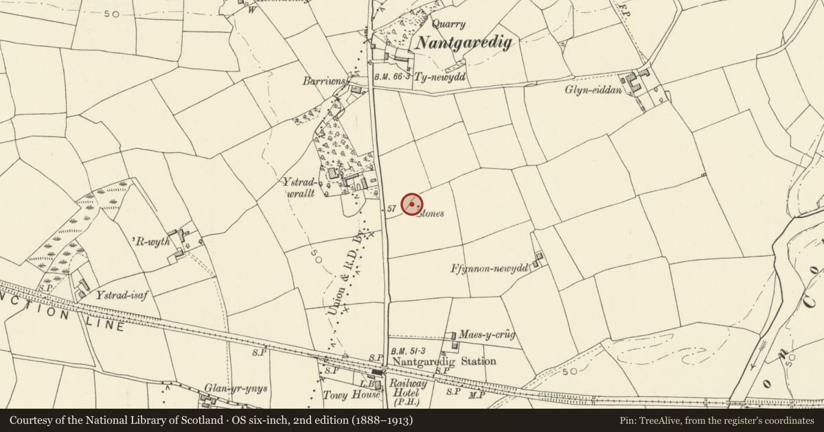 Ordnance Survey six-inch map, 2nd edition (1888–1913) covering the location of Ffynnon-Newydd Standing Stones, Llanegwad, Carmarthenshire, with a pin at the register's coordinates