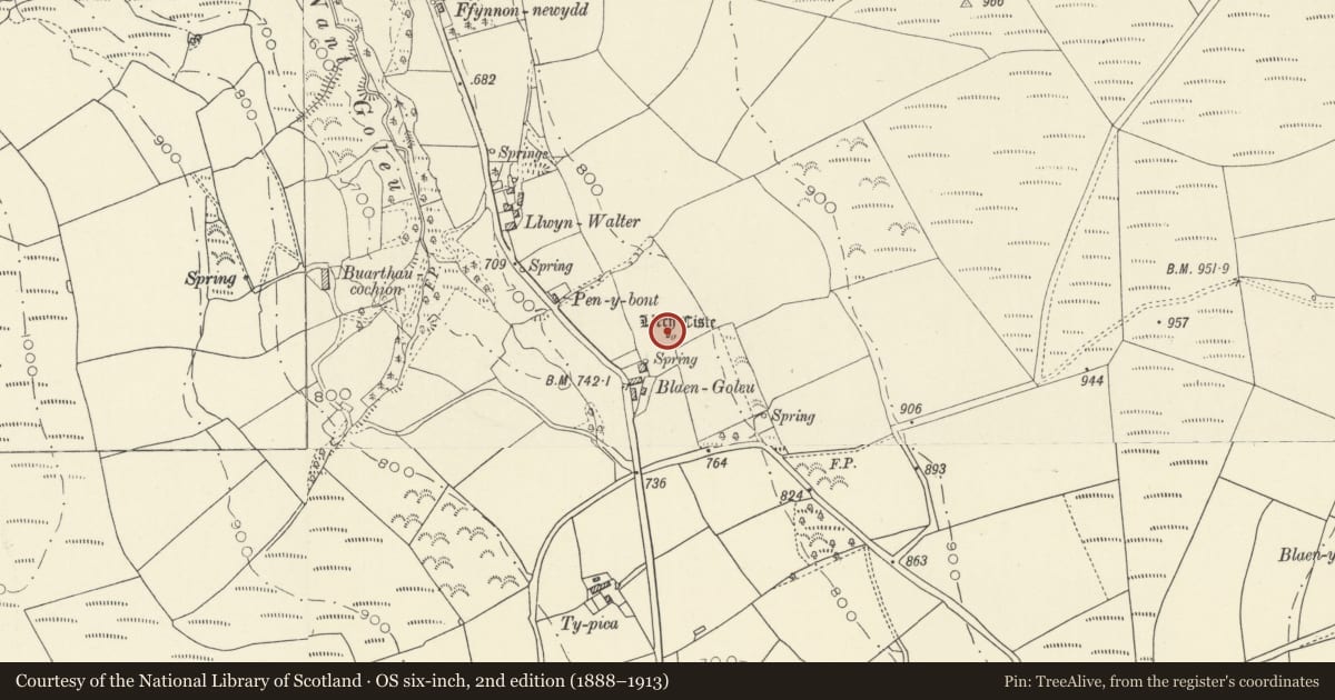 Ordnance Survey six-inch map, 2nd edition (1888–1913) covering the location of Llech Ciste Standing Stone, Llanegwad, Carmarthenshire, with a pin at the register's coordinates