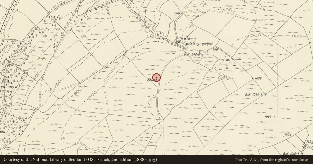 Ordnance Survey six-inch map, 2nd edition (1888–1913) covering the location of Carreg Castell-y-Gwynt Burial Chamber, Llanfynydd, Carmarthenshire, with a pin at the register's coordinates