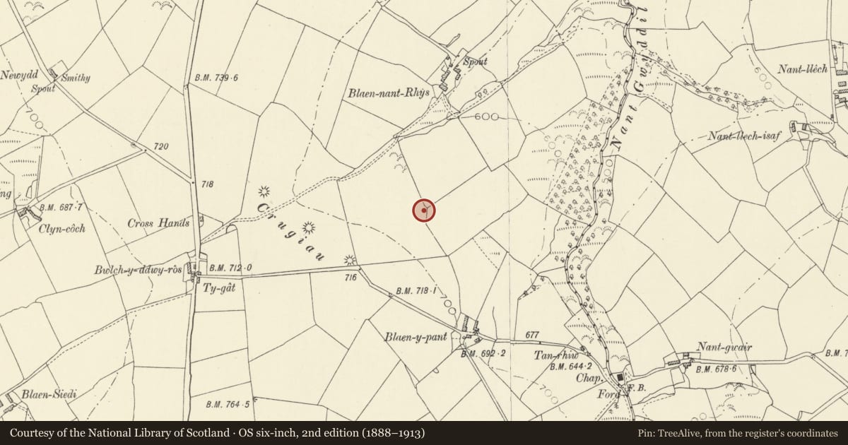 Ordnance Survey six-inch map, 2nd edition (1888–1913) covering the location of Coetan Samson Burial Chamber, Llangeler, Carmarthenshire, with a pin at the register's coordinates