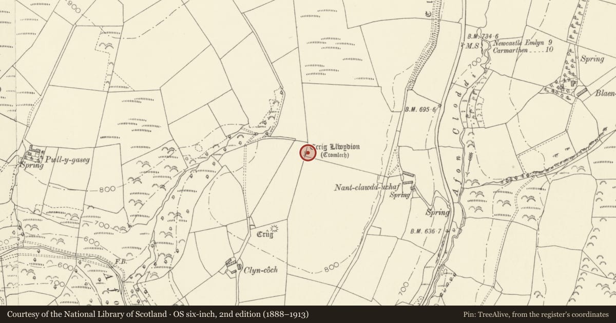 Ordnance Survey six-inch map, 2nd edition (1888–1913) covering the location of Cerrig Llwydion Burial Chamber, Cynwyl Elfed, Carmarthenshire, with a pin at the register's coordinates