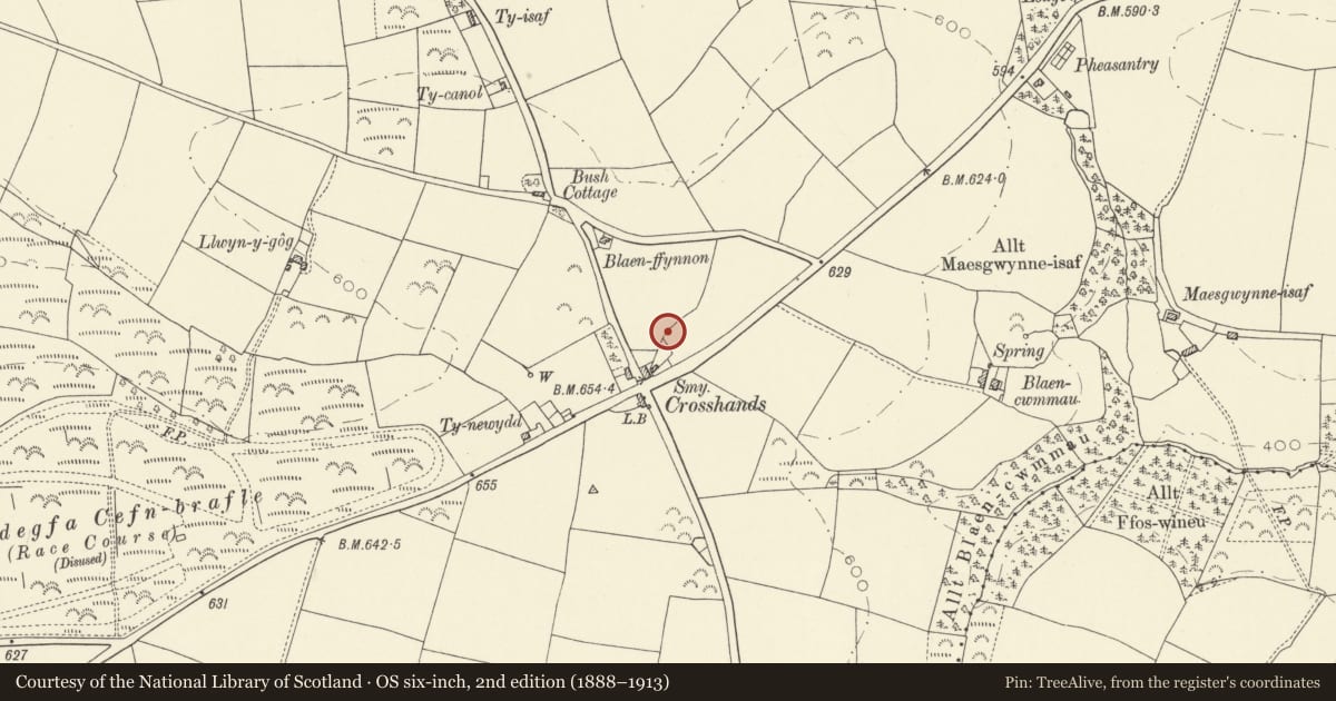 Ordnance Survey six-inch map, 2nd edition (1888–1913) covering the location of Burial Chamber near Cross Hands, Llanboidy, Carmarthenshire, with a pin at the register's coordinates