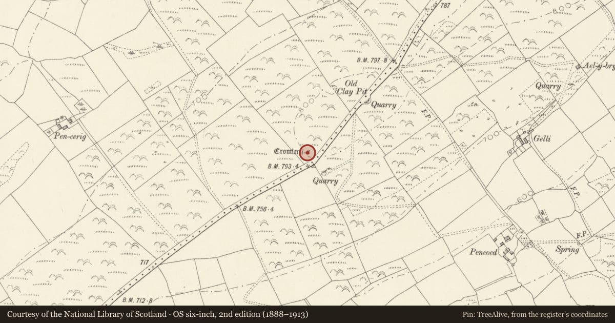 Ordnance Survey six-inch map, 2nd edition (1888–1913) covering the location of Carn Besi Burial Chamber, Cilymaenllwyd, Carmarthenshire, with a pin at the register's coordinates