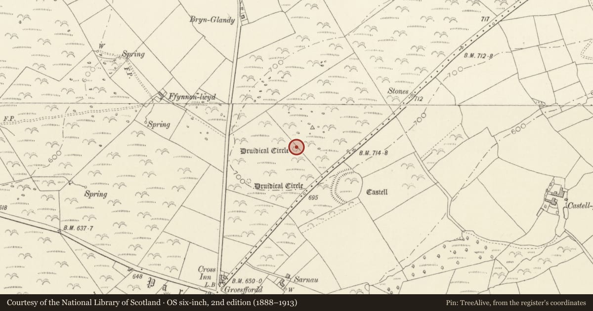Ordnance Survey six-inch map, 2nd edition (1888–1913) covering the location of Cairn Circle 585m NE of Meini Gwyr, Cilymaenllwyd, Carmarthenshire, with a pin at the register's coordinates