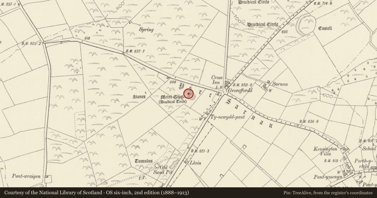 Ordnance Survey six-inch map, 2nd edition (1888–1913) covering the location of Meini Gwyr, Cilymaenllwyd, Carmarthenshire, with a pin at the register's coordinates