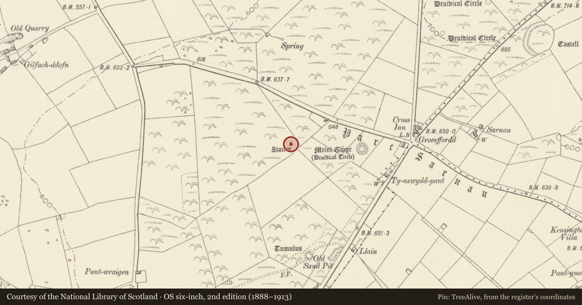 Ordnance Survey six-inch map, 2nd edition (1888–1913) covering the location of Yr Allor, Cilymaenllwyd, Carmarthenshire, with a pin at the register's coordinates