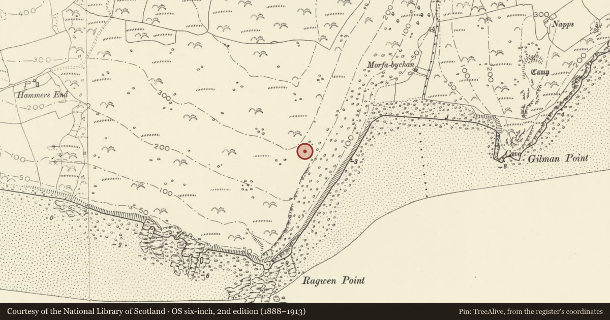 Ordnance Survey six-inch map, 2nd edition (1888–1913) covering the location of Morfa-Bychan Burial Chambers, Cairns, House Sites & Fields, Eglwyscummin, Carmarthenshire, with a pin at the register's coordinates