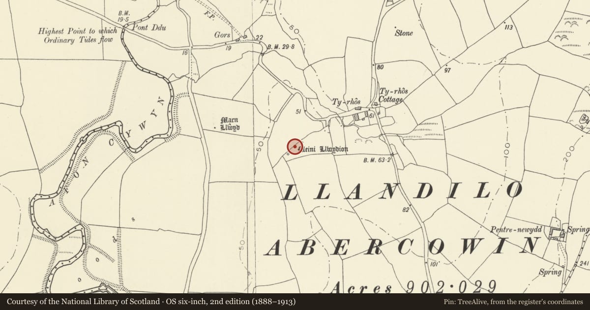 Ordnance Survey six-inch map, 2nd edition (1888–1913) covering the location of Meini Llwydion Group of Standing Stones, Llangynog, Carmarthenshire, with a pin at the register's coordinates