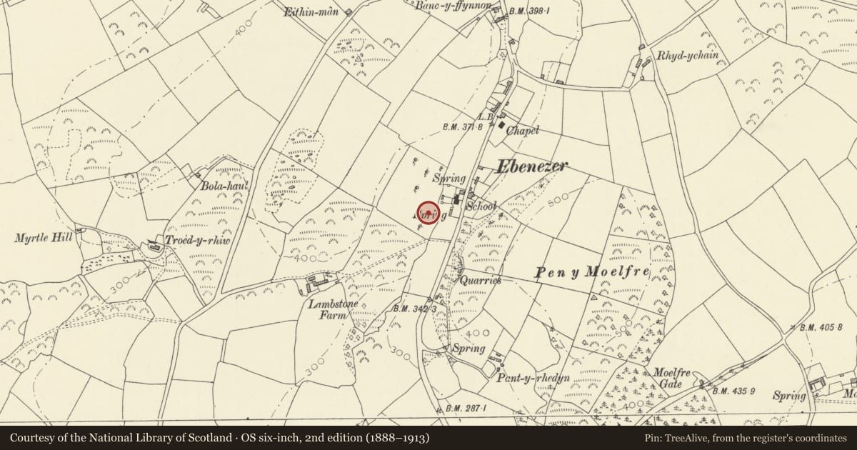 Ordnance Survey six-inch map, 2nd edition (1888–1913) covering the location of Twlc y Filliast Burial Chamber, Llangynog, Carmarthenshire, with a pin at the register's coordinates