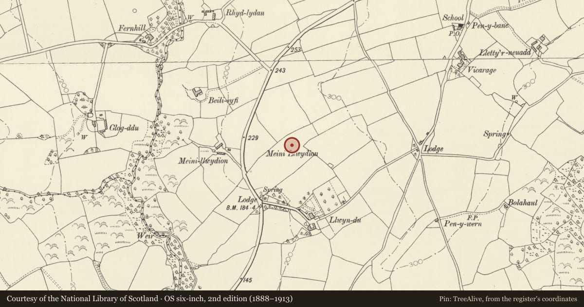 Ordnance Survey six-inch map, 2nd edition (1888–1913) covering the location of Meini Llwydion Burial Chamber, Llangain, Carmarthenshire, with a pin at the register's coordinates
