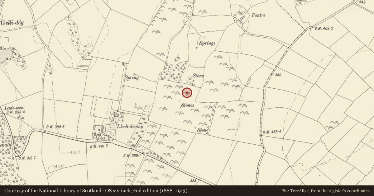 Ordnance Survey six-inch map, 2nd edition (1888–1913) covering the location of Group of Standing Stones NE of Llechdwnni, Llandyfaelog, Carmarthenshire, with a pin at the register's coordinates