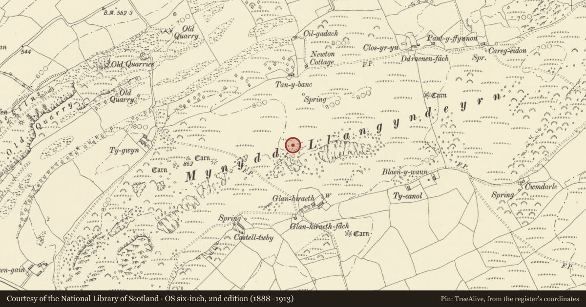 Ordnance Survey six-inch map, 2nd edition (1888–1913) covering the location of Mynydd Llangyndeyrn Burial Chamber, Carmarthenshire, with a pin at the register's coordinates
