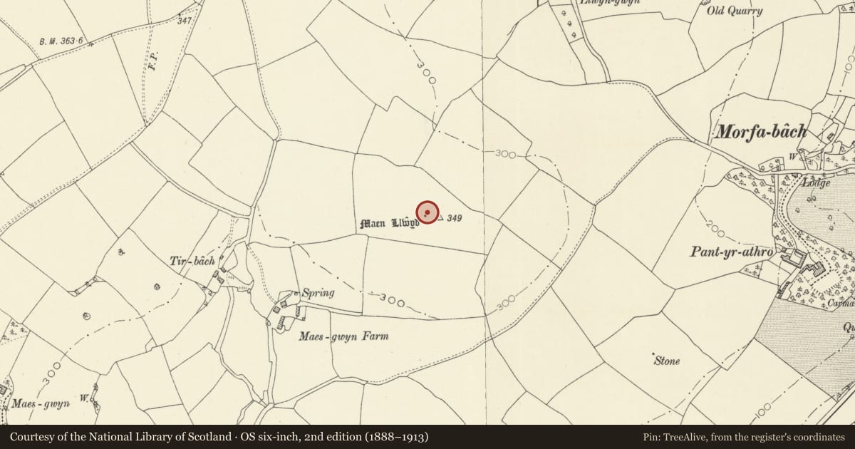 Ordnance Survey six-inch map, 2nd edition (1888–1913) covering the location of Maen Llwyd Standing Stone, Llansteffan, Carmarthenshire, with a pin at the register's coordinates