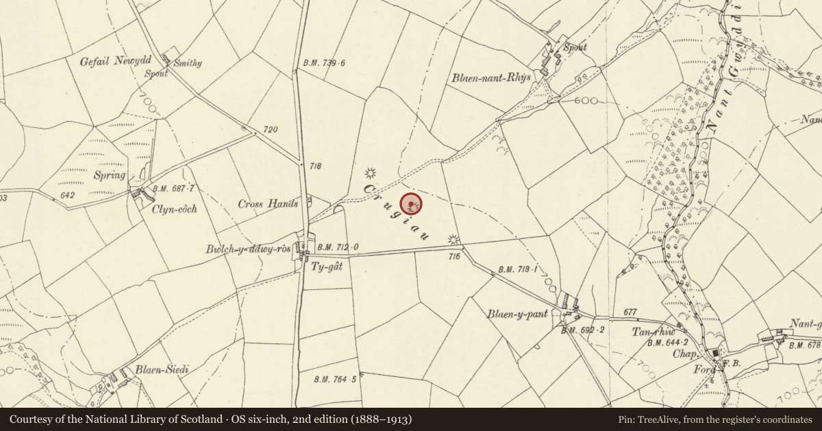 Ordnance Survey six-inch map, 2nd edition (1888–1913) covering the location of Round Cairns & Standing Stone SW of Blaen-Nant-Rhys, Llangeler, Carmarthenshire, with a pin at the register's coordinates