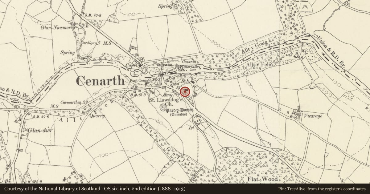 Ordnance Survey six-inch map, 2nd edition (1888–1913) covering the location of Inscribed Stone in St Llawddog's Churchyard, Cenarth, Carmarthenshire, with a pin at the register's coordinates