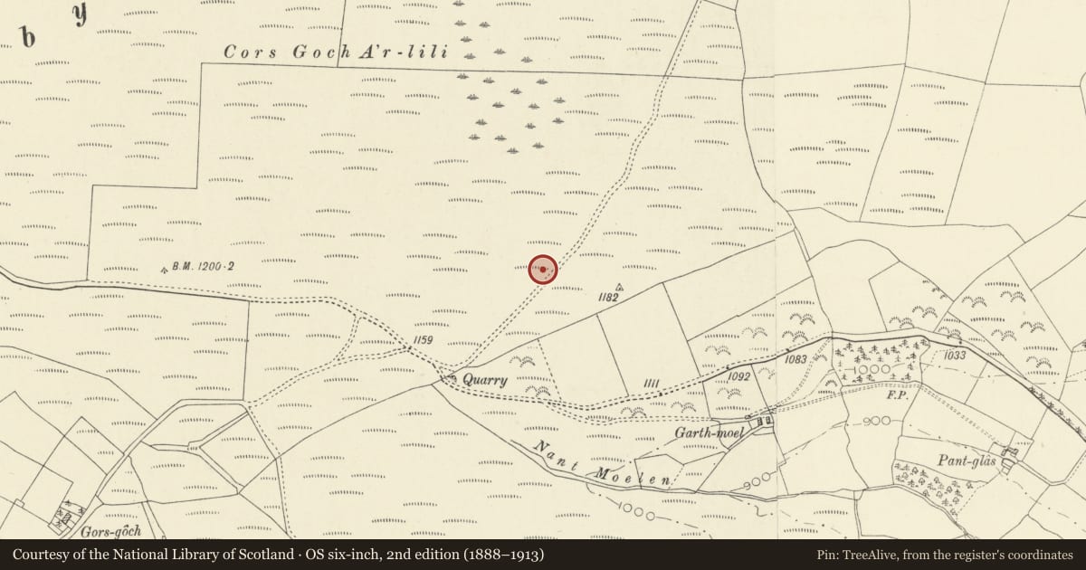 Ordnance Survey six-inch map, 2nd edition (1888–1913) covering the location of Crug y Bwdran, Llanybydder, Carmarthenshire, with a pin at the register's coordinates