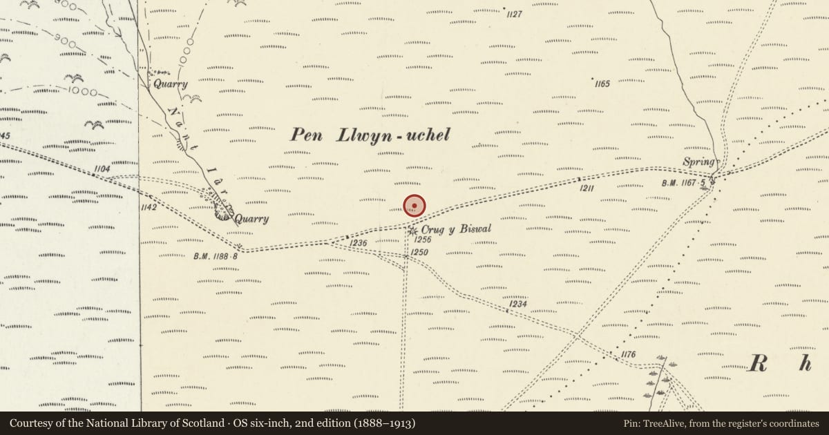 Ordnance Survey six-inch map, 2nd edition (1888–1913) covering the location of Ring Cairn 50m North of Crug y Biswal, Llanllwni, Carmarthenshire, with a pin at the register's coordinates