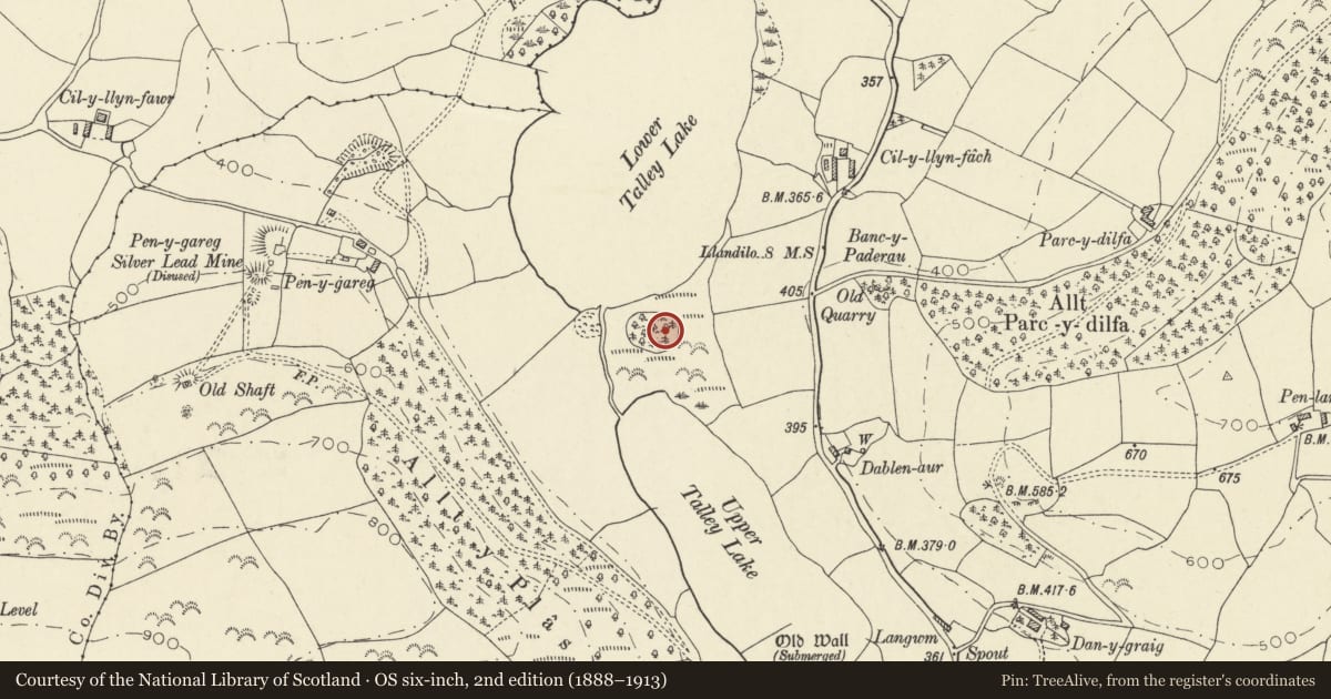 Ordnance Survey six-inch map, 2nd edition (1888–1913) covering the location of Talley Mound and Bailey Castle, Carmarthenshire, with a pin at the register's coordinates