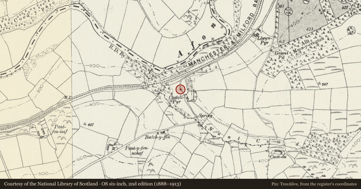 Ordnance Survey six-inch map, 2nd edition (1888–1913) covering the location of Castell Pyr, Llanllwni, Carmarthenshire, with a pin at the register's coordinates