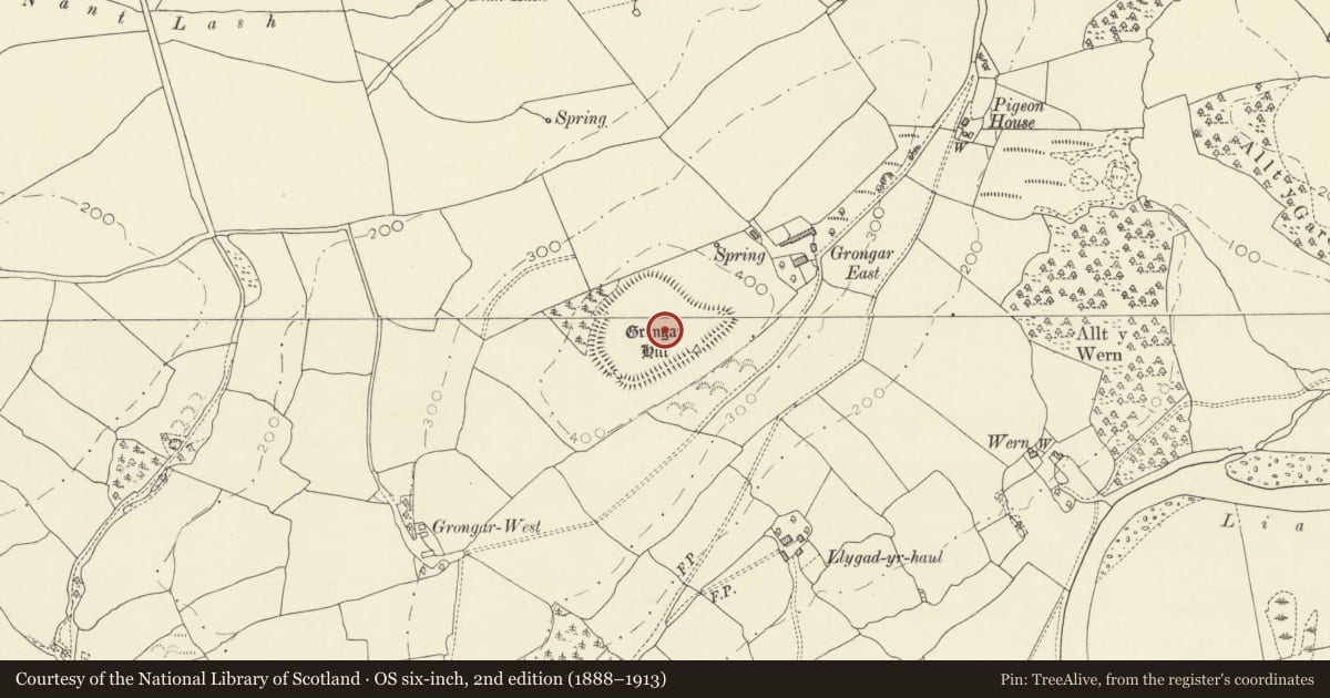 Ordnance Survey six-inch map, 2nd edition (1888–1913) covering the location of Grongaer, Llangathen, Carmarthenshire, with a pin at the register's coordinates