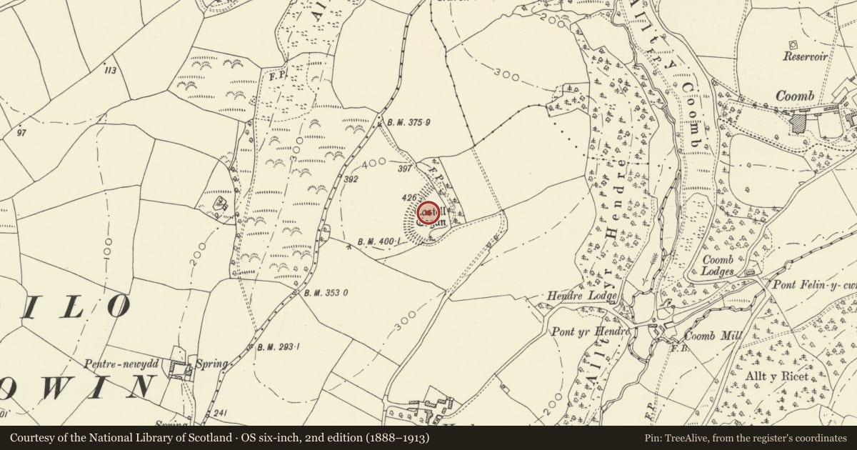 Ordnance Survey six-inch map, 2nd edition (1888–1913) covering the location of Castle Cogan, Llansteffan, Carmarthenshire, with a pin at the register's coordinates