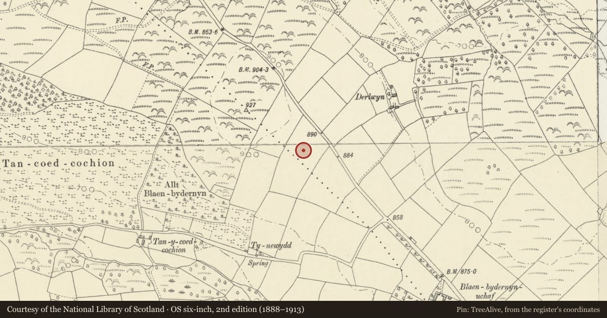 Ordnance Survey six-inch map, 2nd edition (1888–1913) covering the location of Three Round Cairns SE of Blaen Carreg, Pencarreg, Carmarthenshire, with a pin at the register's coordinates
