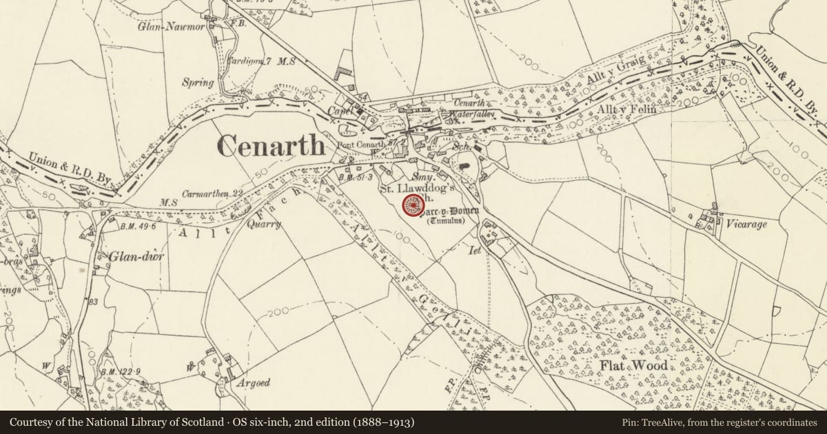 Ordnance Survey six-inch map, 2nd edition (1888–1913) covering the location of Parc-y-Domen, Cenarth, Carmarthenshire, with a pin at the register's coordinates
