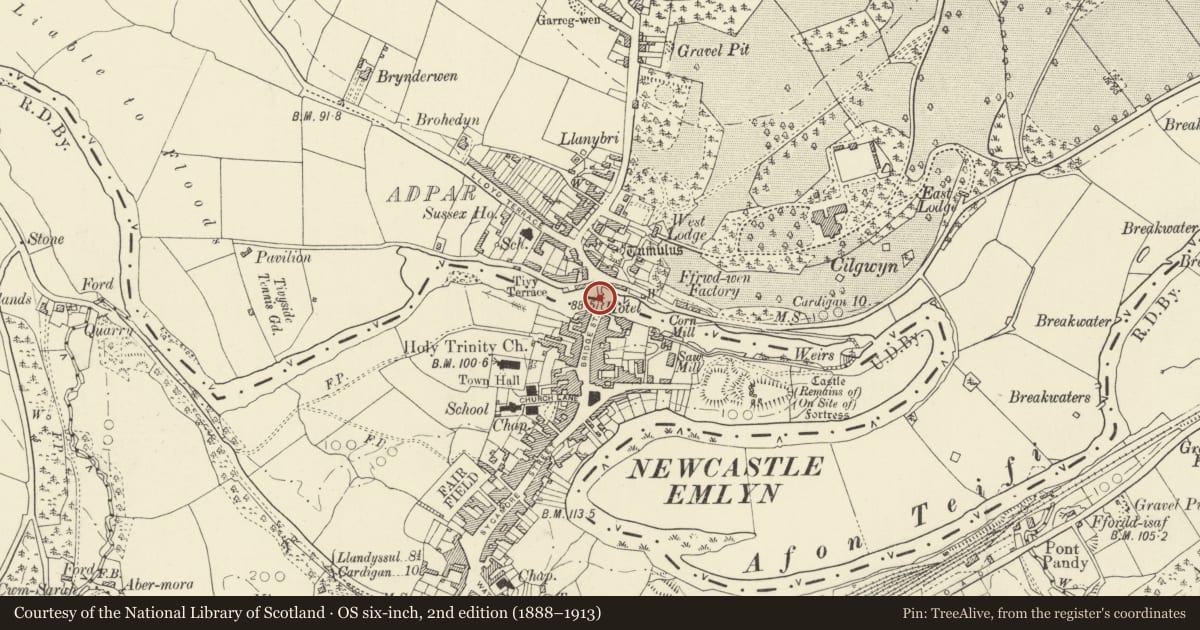 Ordnance Survey six-inch map, 2nd edition (1888–1913) covering the location of Newcastle Emlyn Bridge, Carmarthenshire, with a pin at the register's coordinates