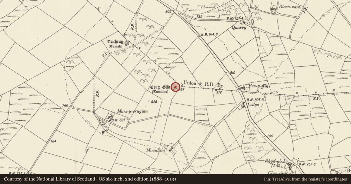 Ordnance Survey six-inch map, 2nd edition (1888–1913) covering the location of Crug Glas Round Barrow, Trelech, Carmarthenshire, with a pin at the register's coordinates