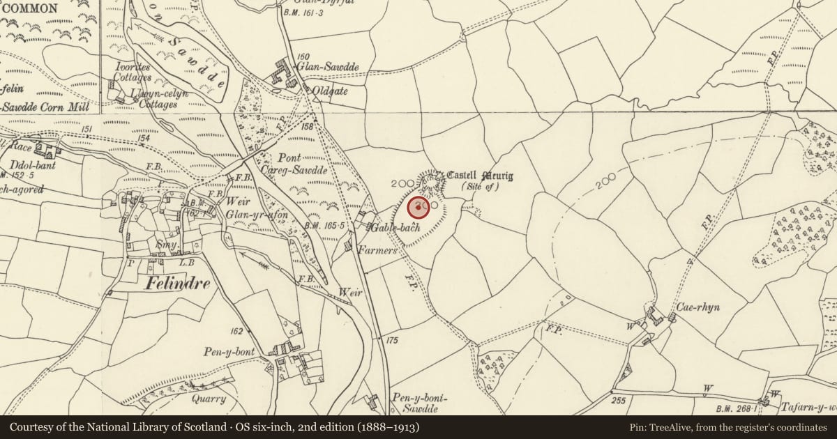 Ordnance Survey six-inch map, 2nd edition (1888–1913) covering the location of Castell Meurig, Llangadog, Carmarthenshire, with a pin at the register's coordinates