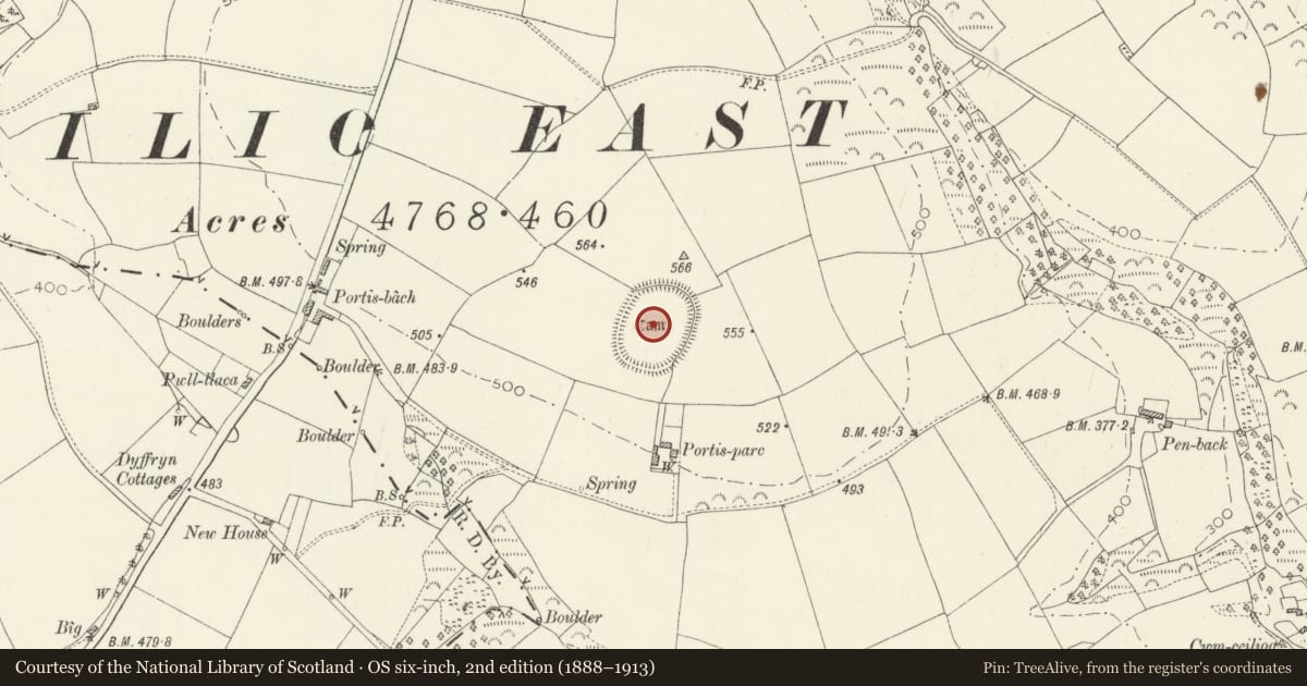 Ordnance Survey six-inch map, 2nd edition (1888–1913) covering the location of Portis-Parc Camp, Clynderwen, Carmarthenshire, with a pin at the register's coordinates