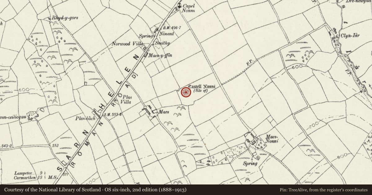 Ordnance Survey six-inch map, 2nd edition (1888–1913) covering the location of Castell Nonni, Llanllwni, Carmarthenshire, with a pin at the register's coordinates