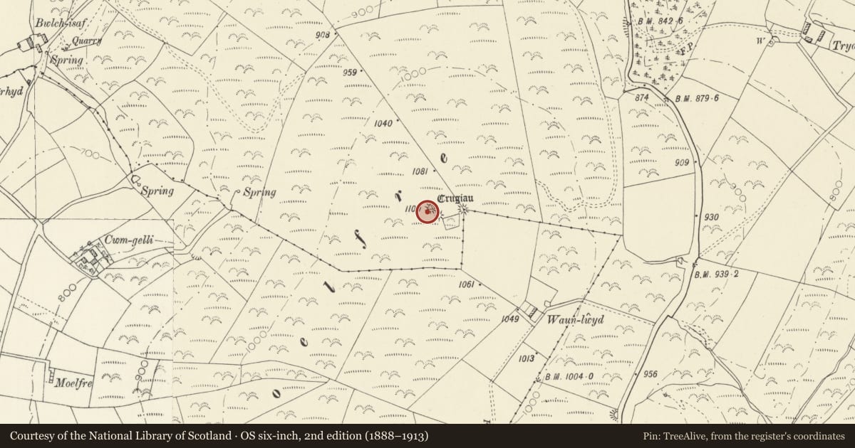 Ordnance Survey six-inch map, 2nd edition (1888–1913) covering the location of Moelfre Round Barrows, Llangeler, Carmarthenshire, with a pin at the register's coordinates