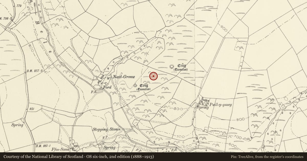 Ordnance Survey six-inch map, 2nd edition (1888–1913) covering the location of Nant-Gronw Round Barrows, Cynwyl Elfed, Carmarthenshire, with a pin at the register's coordinates