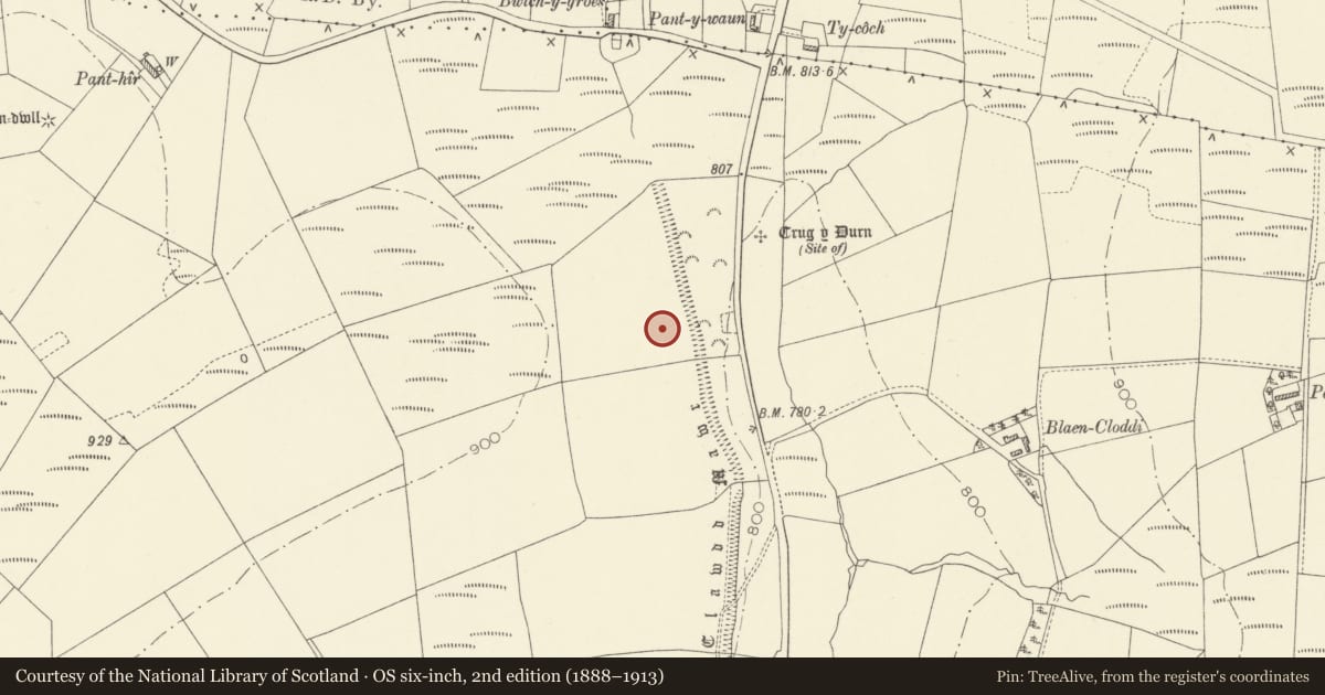 Ordnance Survey six-inch map, 2nd edition (1888–1913) covering the location of Clawdd-Mawr, Cynwyl Elfed, Carmarthenshire, with a pin at the register's coordinates