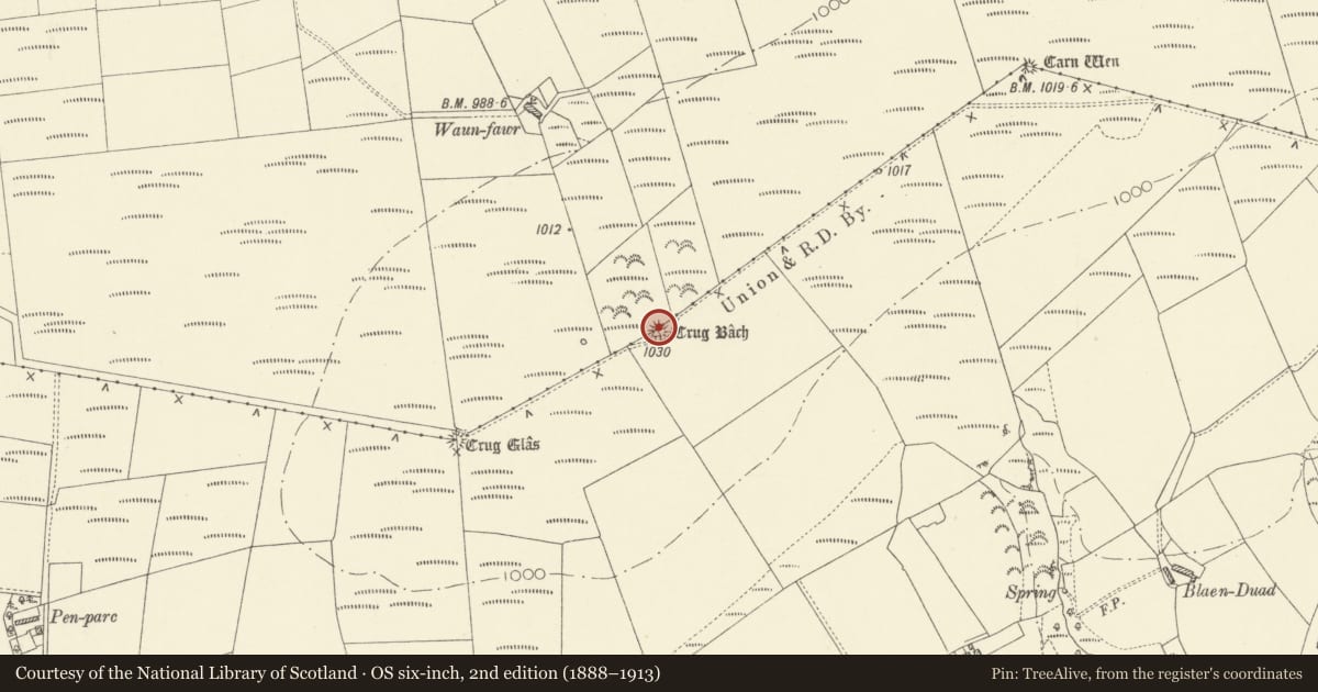 Ordnance Survey six-inch map, 2nd edition (1888–1913) covering the location of Crug Bach Round Barrow, Llangeler, Carmarthenshire, with a pin at the register's coordinates