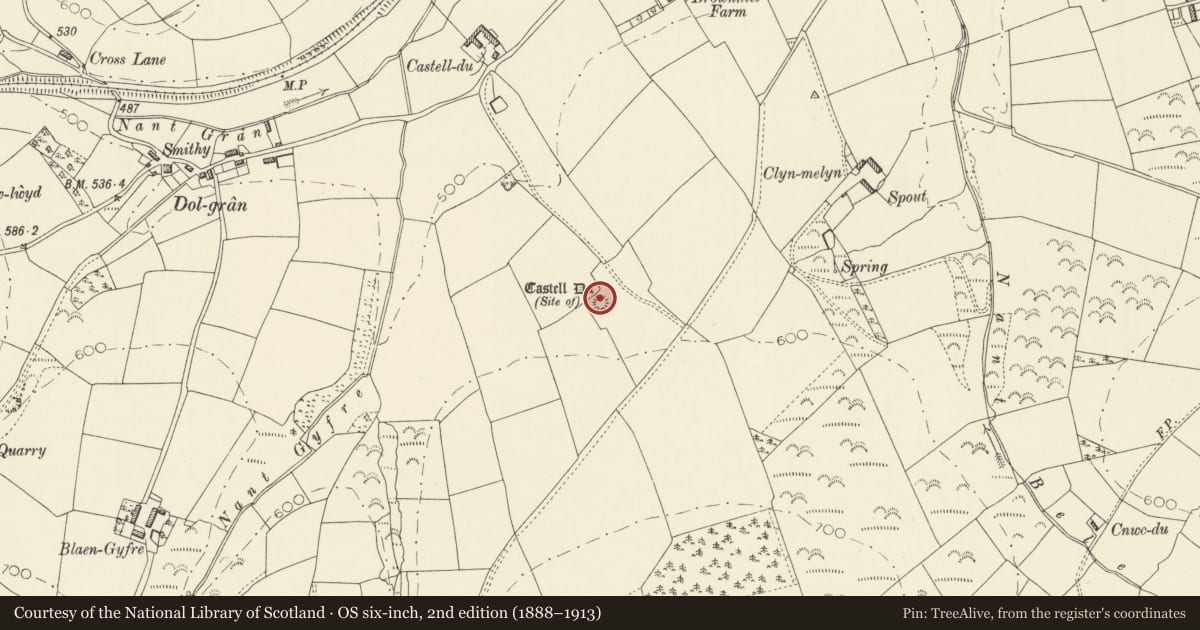 Ordnance Survey six-inch map, 2nd edition (1888–1913) covering the location of Castell Du Castle Mound, Llanfihangel-ar-Arth, Carmarthenshire, with a pin at the register's coordinates