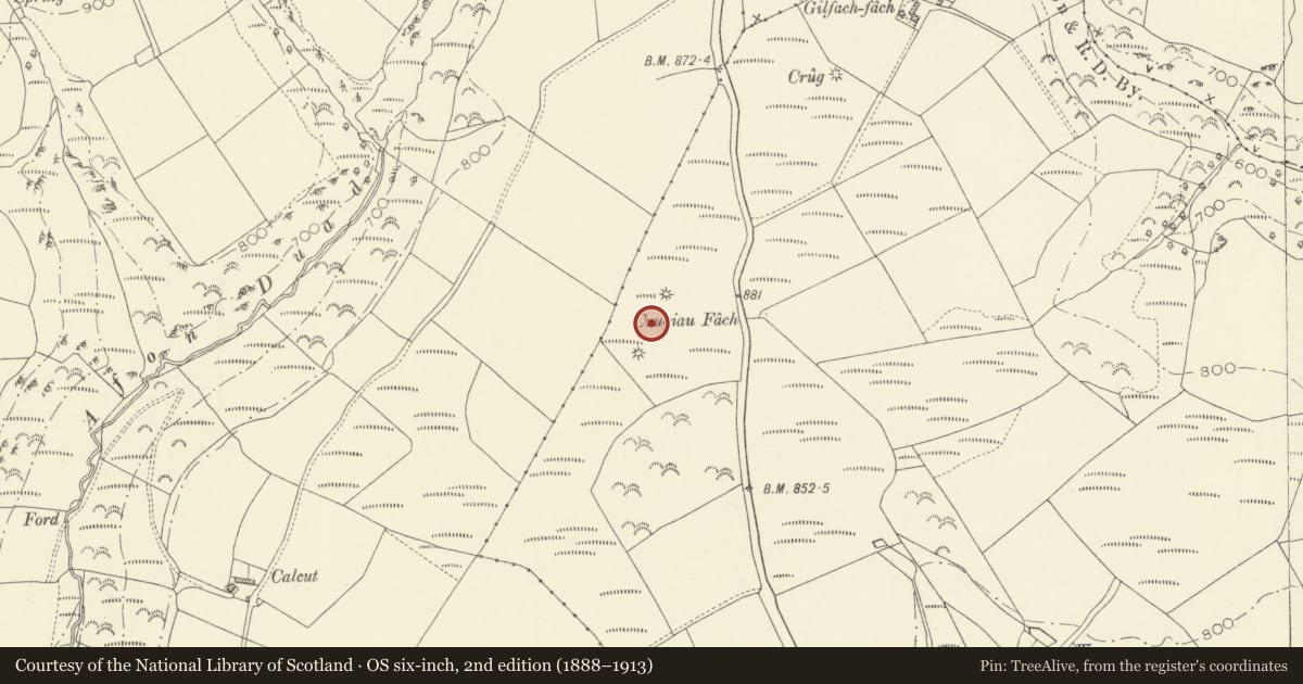 Ordnance Survey six-inch map, 2nd edition (1888–1913) covering the location of Crugiau Fach Round Barrows, Llanpumsaint, Carmarthenshire, with a pin at the register's coordinates