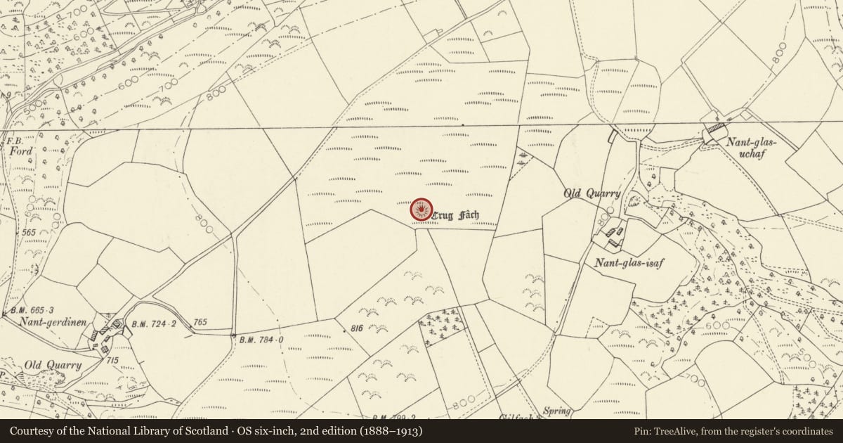 Ordnance Survey six-inch map, 2nd edition (1888–1913) covering the location of Crug Fach Round Barrow, Cynwyl Elfed, Carmarthenshire, with a pin at the register's coordinates