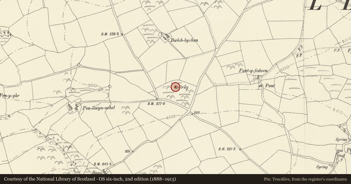 Ordnance Survey six-inch map, 2nd edition (1888–1913) covering the location of Bwlch-Bychan Round Barrow, Llanpumsaint, Carmarthenshire, with a pin at the register's coordinates