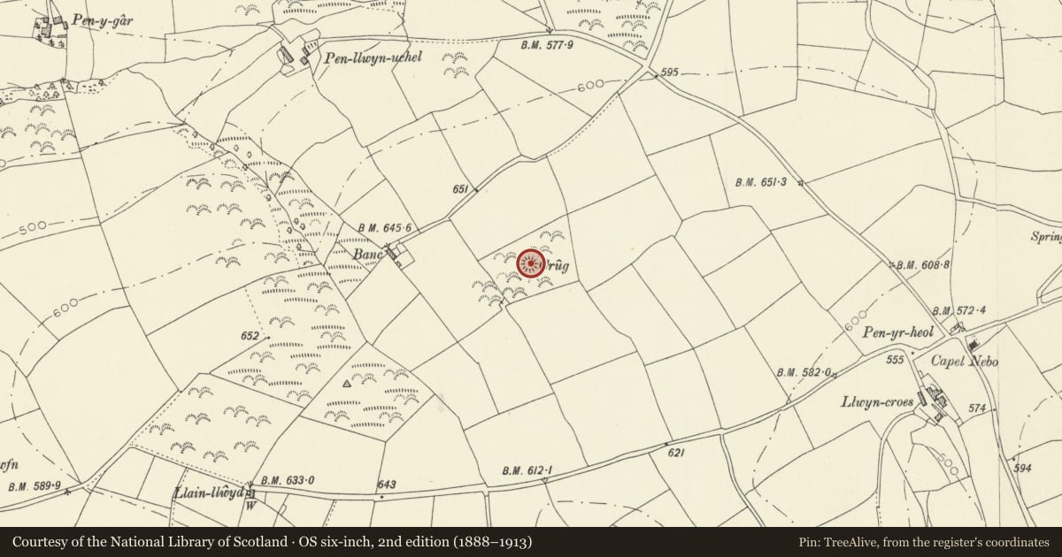 Ordnance Survey six-inch map, 2nd edition (1888–1913) covering the location of Banc Round Barrow, Llanpumsaint, Carmarthenshire, with a pin at the register's coordinates