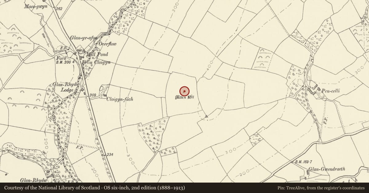 Ordnance Survey six-inch map, 2nd edition (1888–1913) covering the location of Pen Celli Standing Stone, Llangyndeyrn, Carmarthenshire, with a pin at the register's coordinates